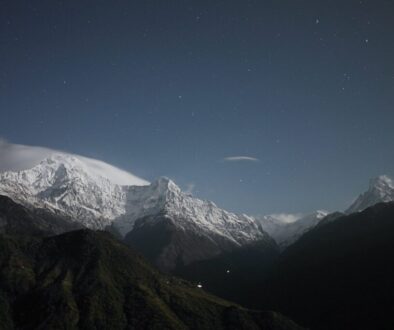 mt-sample-background mt-sample-background